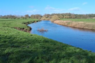 A wide blue river flows through a green, grassy landscape under a bright blue sky.