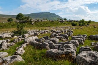 A limestone pavement landscape with weathered grey rocks and green grass, under a partly cloudy blue sky, with a large, green, table-shaped mountain in the distance.