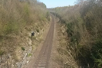 A railway line cuts through a woodland.