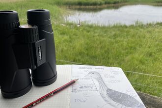 Drawing of a graylag goose and some binoculars