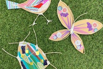 Willow bugs, Butterflies and Birds