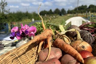 hand picked veg laid out in a basket on a table in an outdoor setting. There's a small bunch of flowers next to it on the table.