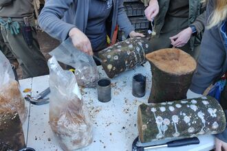 Two women drill holes in a small cut log