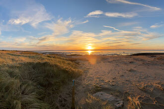 Sunset over a calm sea with a sandy beach in the foreground and tall, golden dune grass on the left.