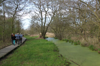 Guided Walk