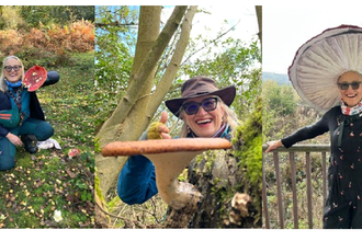pickle and brew fungi guided walks