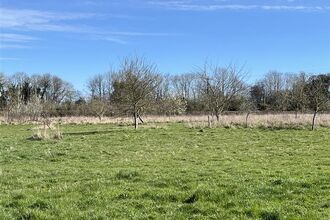 Community Orchard