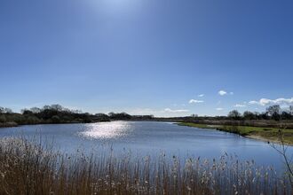 Wetland Lagoon