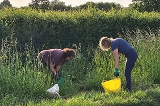 Two individuals in casual clothing are bent over in a grassy field, tending to plants or weeds, with a yellow bucket and a white bag nearby.