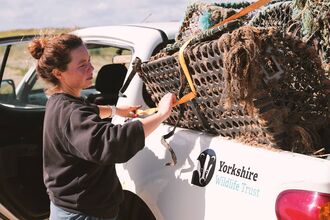 Clare loading lobster nets to truck