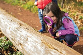 Child with magnifying glass looking at a log