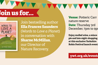 Yorkshire Robin Festival launch event featuring a talk by author Ella Frances Saunders with Sharne McMillan, Director of Nature Recovery, at Potteric Carr nature reserve on Thursday 3rd December, 7pm to 9pm.