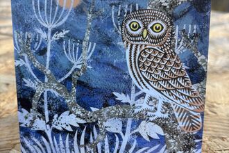 Owl on a Christmas card. With a blue background and sun 