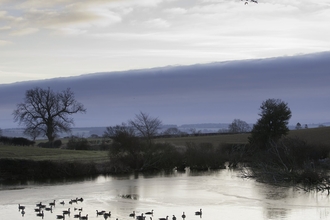 Farm pond