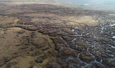 Aerial view of Fleet Moss.