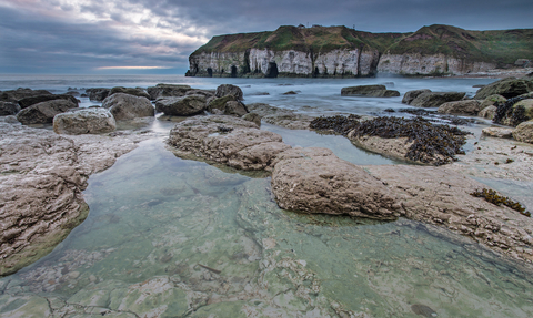 Flamborough Cliffs from Thornwick Bay