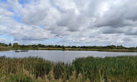 View of the lake at Staveley nature reserve