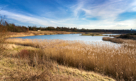 An autumnal photograph of the main lake at North Cave Wetlands.