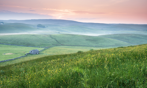 A beautiful pink sunrise over Ashes Pasture.