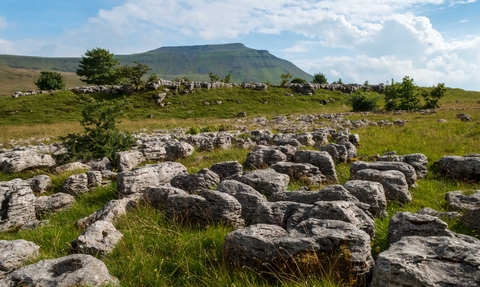 Southerscales Limestone-pavement at Ingleborough looking out towards the big hill