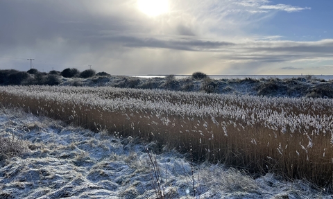 snowy scene on a coastal nature reserve the sun is shining low in the sky