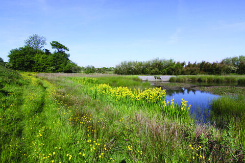 Help children get close to Filey’s wildlife! | Yorkshire Wildlife Trust
