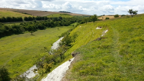 Kiplingcotes Chalk Pit - Jono Leadley