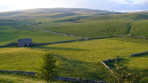 Ashes Pasture Nature Reserve - Charlotte Bickler