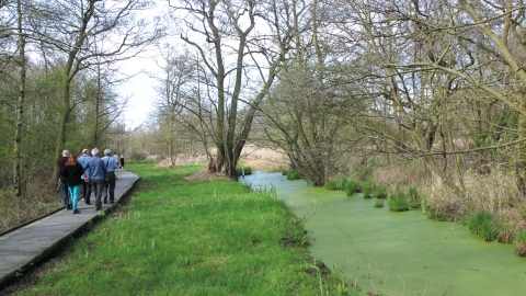 Askham Bog nature reserve - Jono Leadley