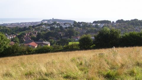 View towards Scarborough Castle - Harland Mount Nature Reserve - Elizabeth Round