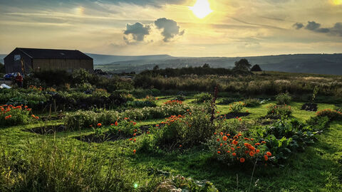 View over Stirley Community Farm Credit T Doherty