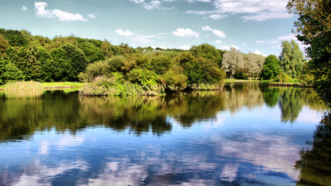 Dearne Valley Country Park