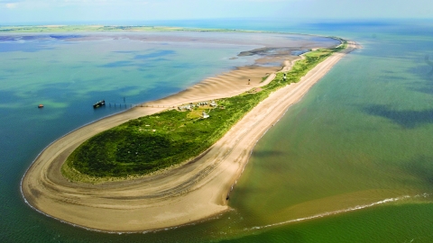 Spurn