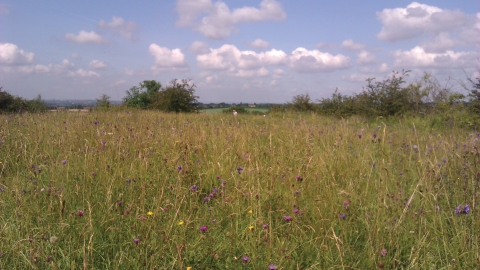 Townclose Hills Nature Reserve
