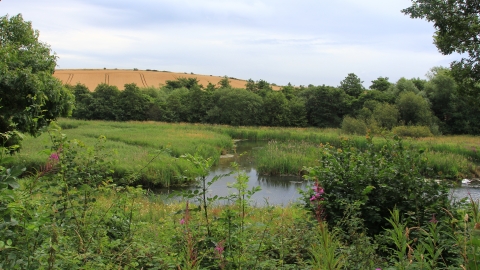 Carlton Marsh Nature Reserve Credit Jim Horsfall