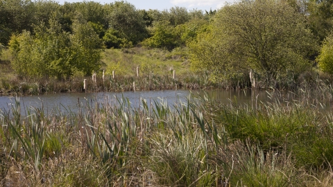 Rothwell Country Park Credit Danny Hill