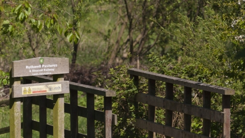 Rothwell Pastures Credit Danny Hill