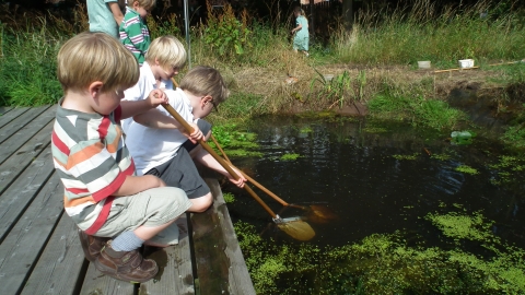 Pond dipping credit Kat Woolley