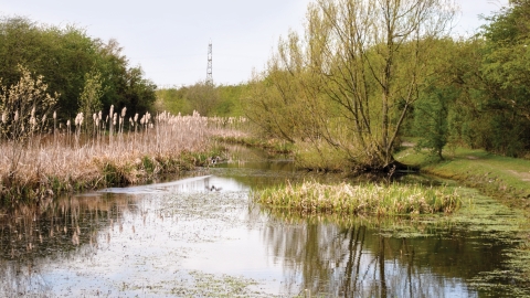 Dearne Valley Country Park