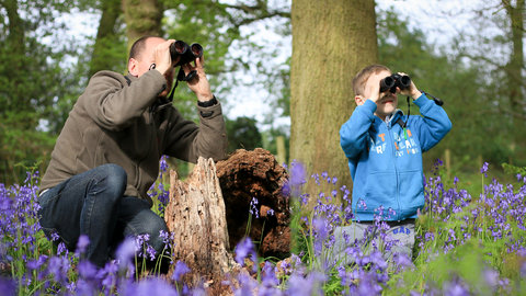 Family birdwatching