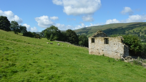 Newbiggin Pasture
