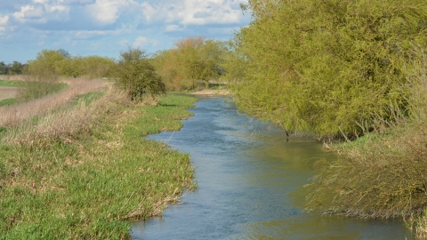 Skerne Wetlands West Beck Chalk River Credit Andrew Gallon