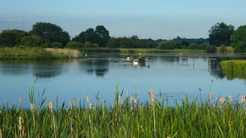 Staveley Nature Reserve Credit Paul Fox