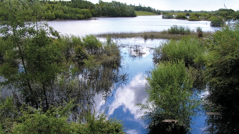 Thorpe Marsch Nature Reserve Credit Mick Townsend