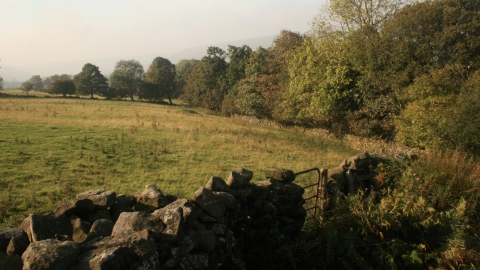 Birch Wood Nature Reserve