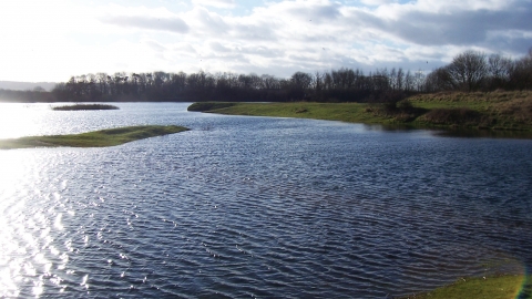 Burton Riggs Credit Helen Percival