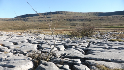 Southerscales Nature Reserve Credit Jo Milborrow