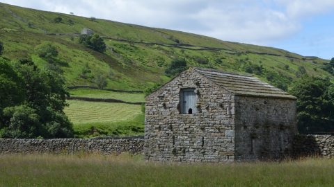 Yellands Meadow Nature Reserve