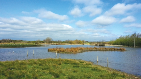 Filey Dams credit Jono Leadley