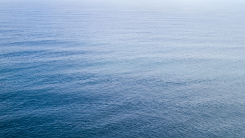 The Sea